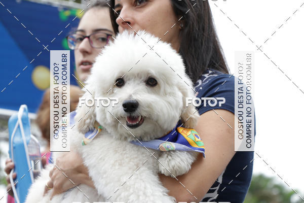 Buy your photos of the event13� C�ominhada - Santos on Fotop