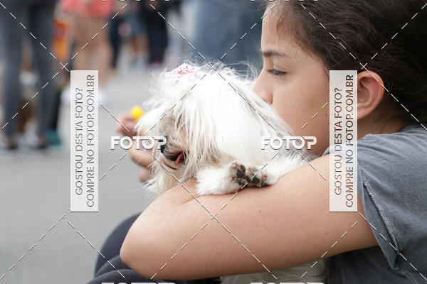 Buy your photos of the event13� C�ominhada - Santos on Fotop