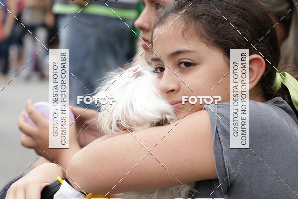 Buy your photos of the event13� C�ominhada - Santos on Fotop
