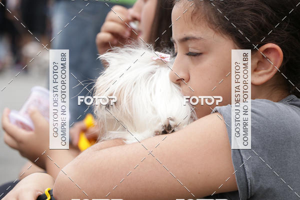 Buy your photos of the event13� C�ominhada - Santos on Fotop