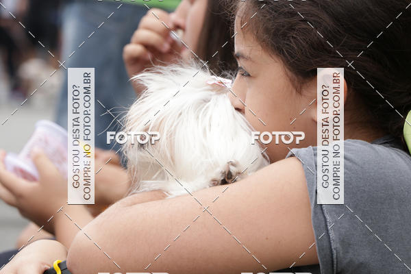 Buy your photos of the event13� C�ominhada - Santos on Fotop