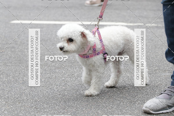 Buy your photos of the event13� C�ominhada - Santos on Fotop