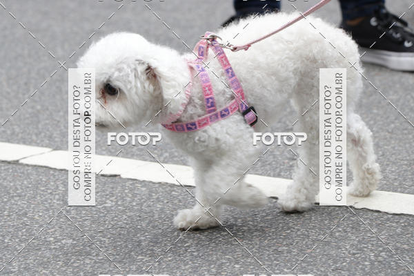 Buy your photos of the event13� C�ominhada - Santos on Fotop