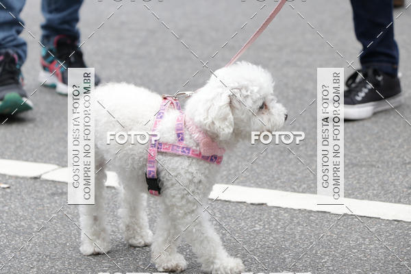 Buy your photos of the event13� C�ominhada - Santos on Fotop