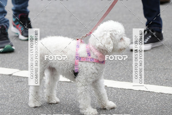 Buy your photos of the event13� C�ominhada - Santos on Fotop