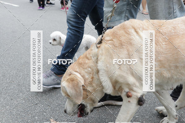 Buy your photos of the event13� C�ominhada - Santos on Fotop