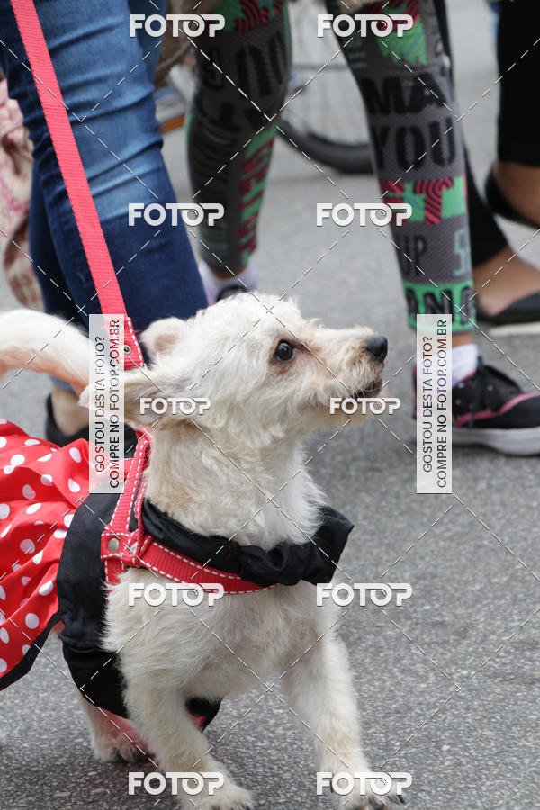 Buy your photos of the event13� C�ominhada - Santos on Fotop