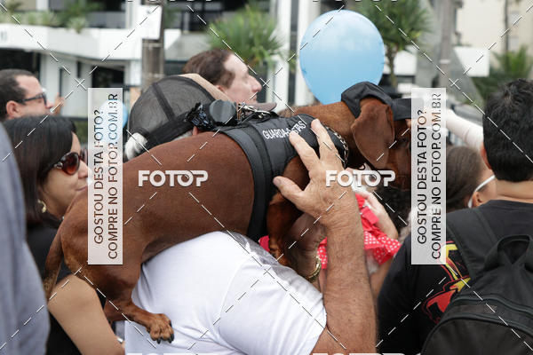 Buy your photos of the event13� C�ominhada - Santos on Fotop