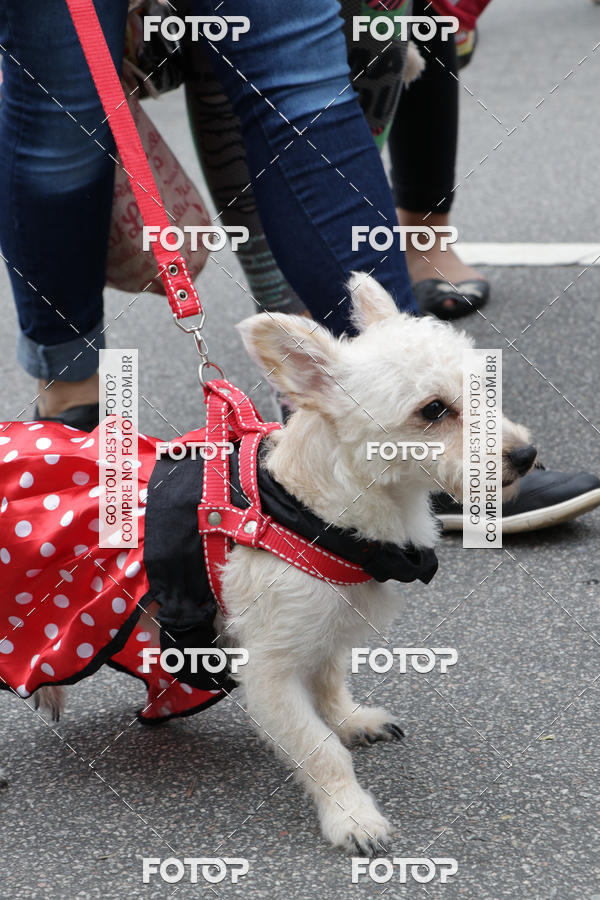 Buy your photos of the event13� C�ominhada - Santos on Fotop