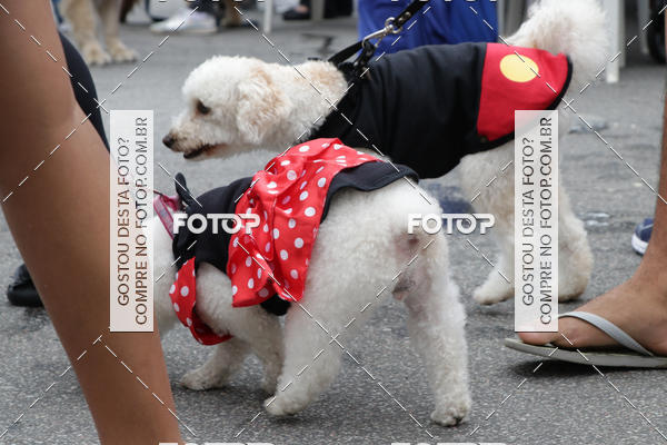 Buy your photos of the event13� C�ominhada - Santos on Fotop