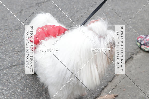 Buy your photos of the event13� C�ominhada - Santos on Fotop