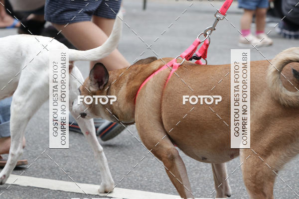 Buy your photos of the event13� C�ominhada - Santos on Fotop