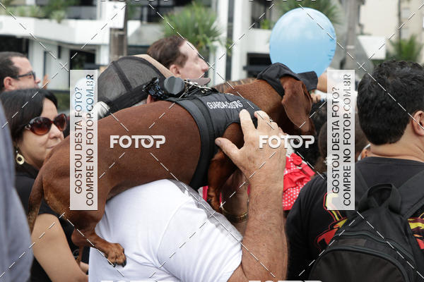 Buy your photos of the event13� C�ominhada - Santos on Fotop