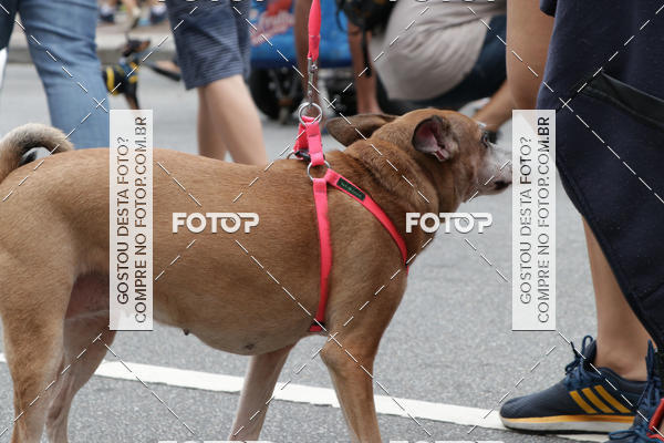 Buy your photos of the event13� C�ominhada - Santos on Fotop