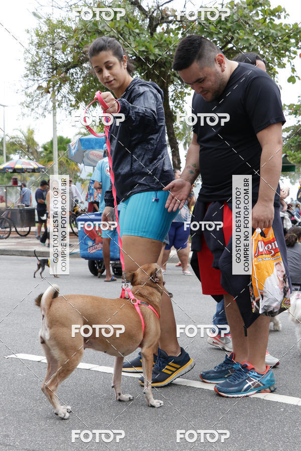 Buy your photos of the event13� C�ominhada - Santos on Fotop