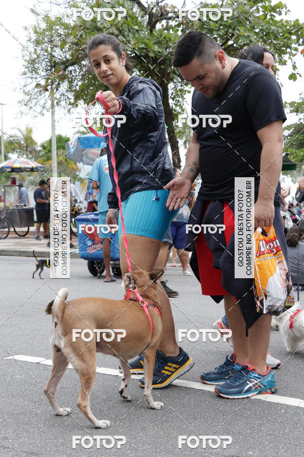 Buy your photos of the event13� C�ominhada - Santos on Fotop