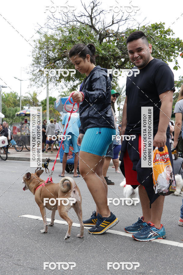 Buy your photos of the event13� C�ominhada - Santos on Fotop