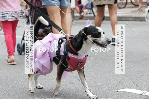 Buy your photos of the event13� C�ominhada - Santos on Fotop