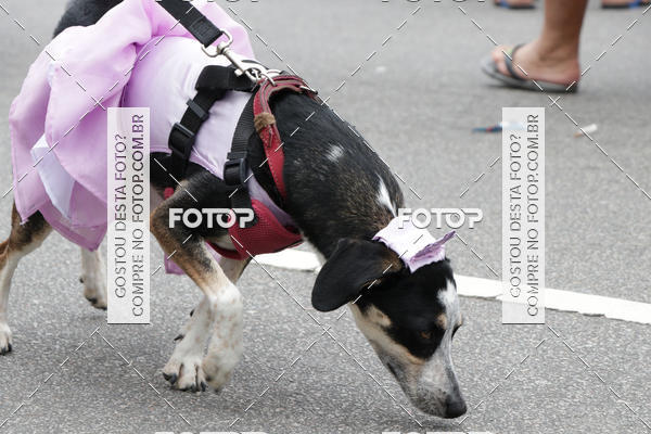 Buy your photos of the event13� C�ominhada - Santos on Fotop