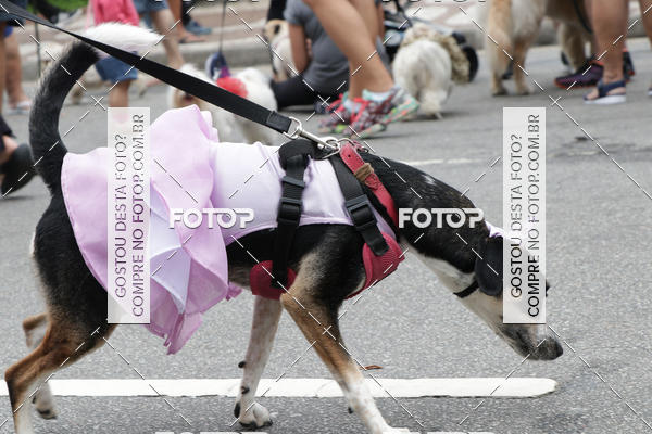 Buy your photos of the event13� C�ominhada - Santos on Fotop