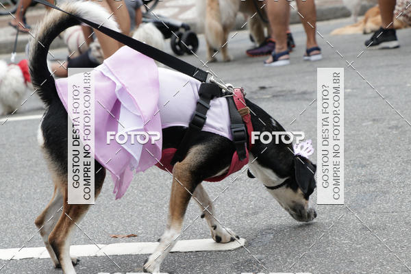 Buy your photos of the event13� C�ominhada - Santos on Fotop