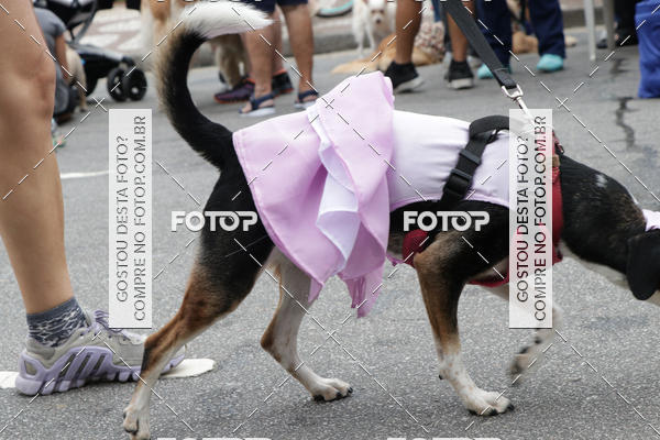 Buy your photos of the event13� C�ominhada - Santos on Fotop