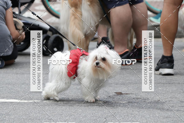 Buy your photos of the event13� C�ominhada - Santos on Fotop