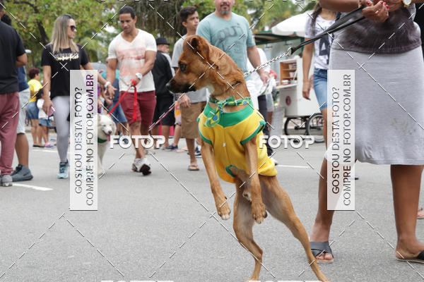 Buy your photos of the event13� C�ominhada - Santos on Fotop