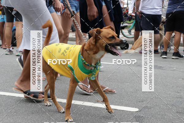 Buy your photos of the event13� C�ominhada - Santos on Fotop