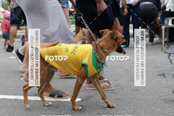 Buy your photos of the event13� C�ominhada - Santos on Fotop