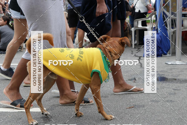 Buy your photos of the event13� C�ominhada - Santos on Fotop