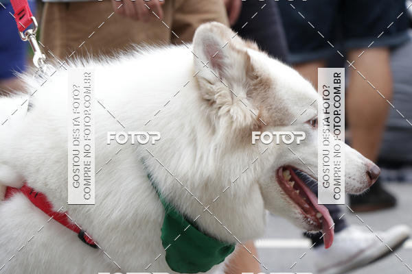 Buy your photos of the event13� C�ominhada - Santos on Fotop