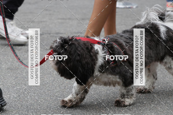 Buy your photos of the event13� C�ominhada - Santos on Fotop