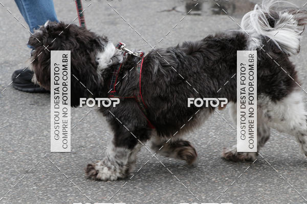 Buy your photos of the event13� C�ominhada - Santos on Fotop