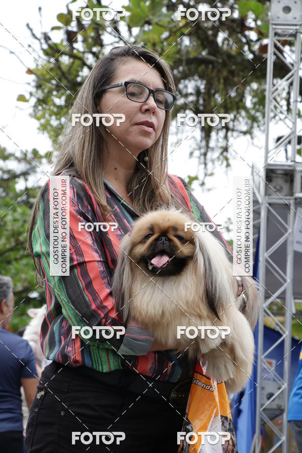 Buy your photos of the event13� C�ominhada - Santos on Fotop