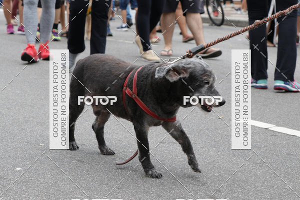 Buy your photos of the event13� C�ominhada - Santos on Fotop