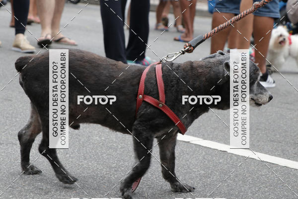 Buy your photos of the event13� C�ominhada - Santos on Fotop