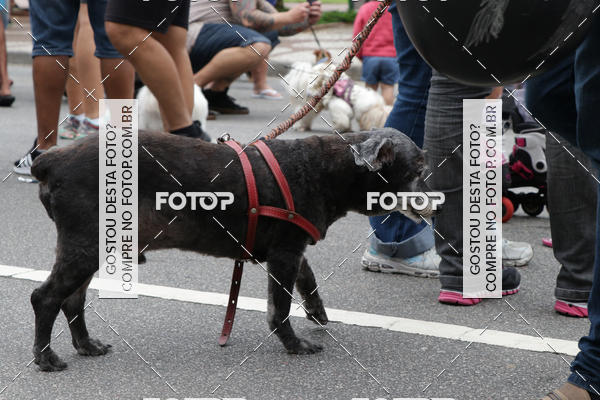 Buy your photos of the event13� C�ominhada - Santos on Fotop