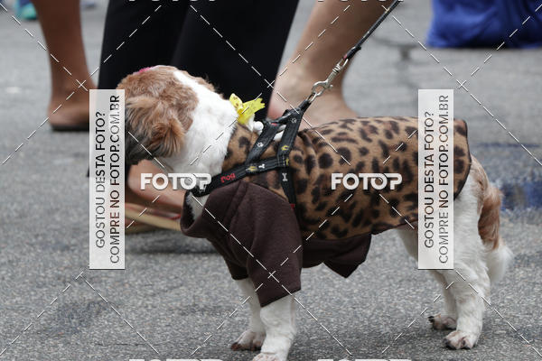 Buy your photos of the event13� C�ominhada - Santos on Fotop