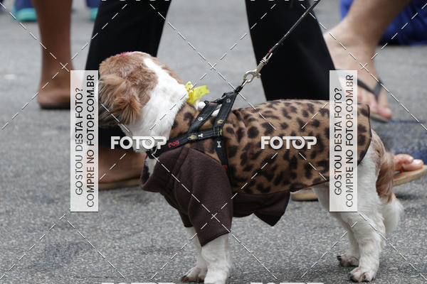 Buy your photos of the event13� C�ominhada - Santos on Fotop