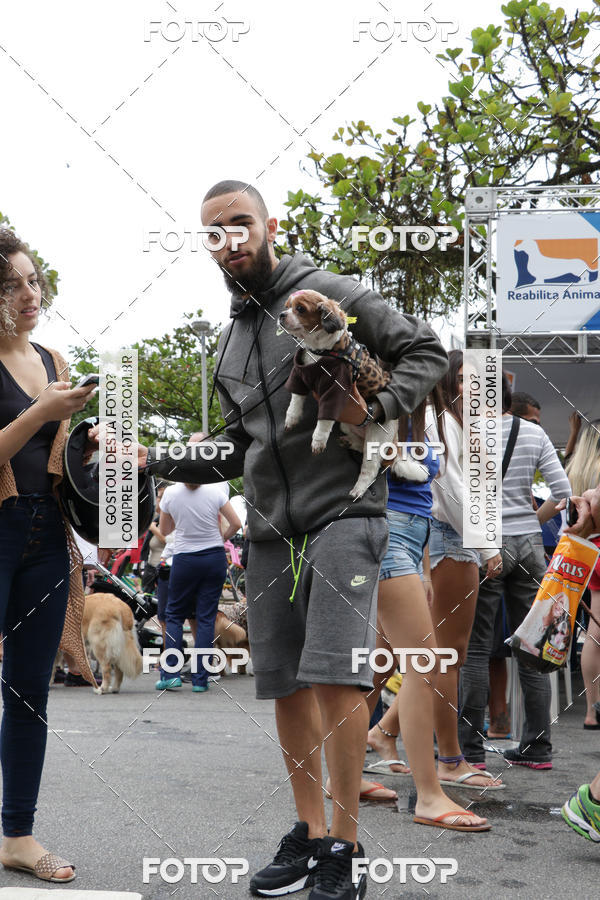 Buy your photos of the event13� C�ominhada - Santos on Fotop