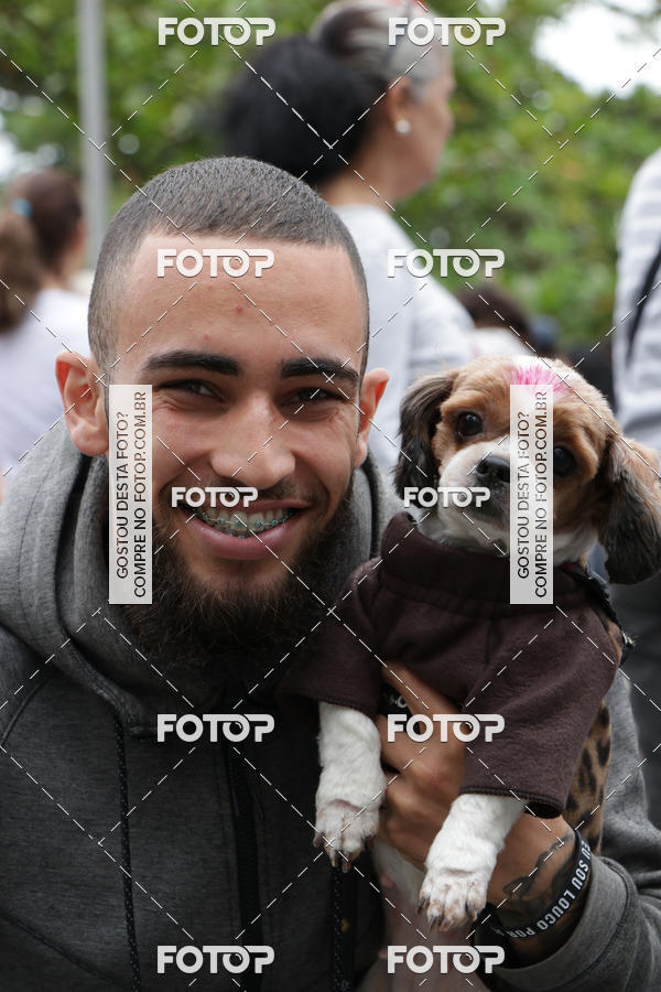 Buy your photos of the event13� C�ominhada - Santos on Fotop