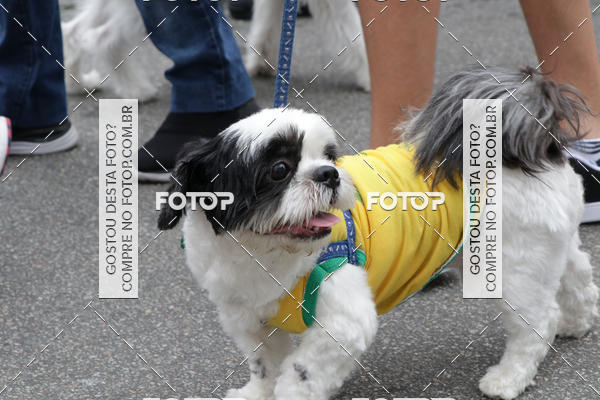 Buy your photos of the event13� C�ominhada - Santos on Fotop