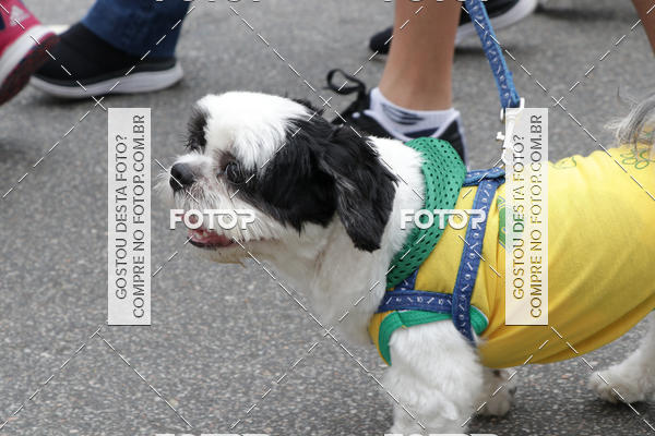 Buy your photos of the event13� C�ominhada - Santos on Fotop