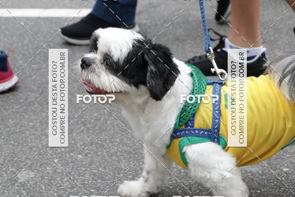 Buy your photos of the event13� C�ominhada - Santos on Fotop