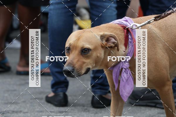 Buy your photos of the event13� C�ominhada - Santos on Fotop