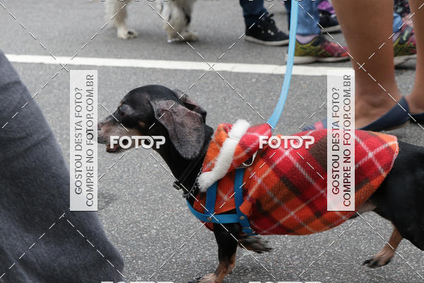 Buy your photos of the event13� C�ominhada - Santos on Fotop