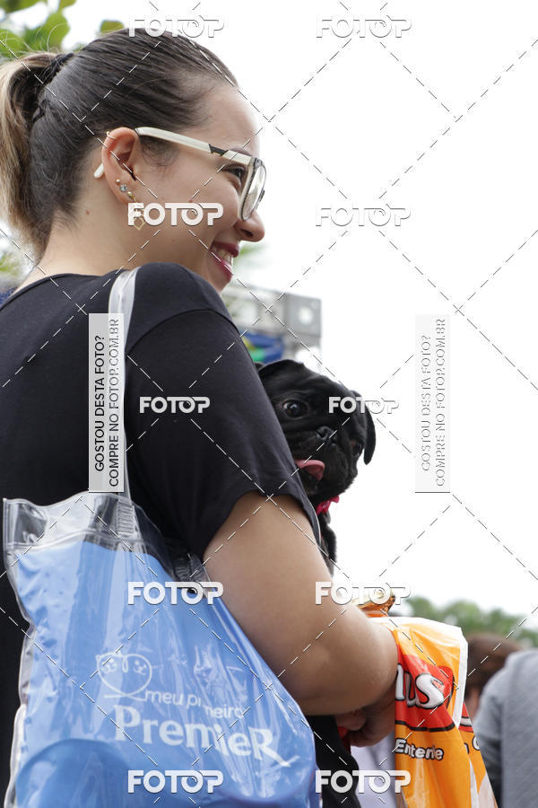 Buy your photos of the event13� C�ominhada - Santos on Fotop