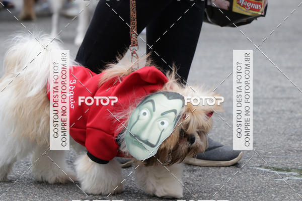 Buy your photos of the event13� C�ominhada - Santos on Fotop