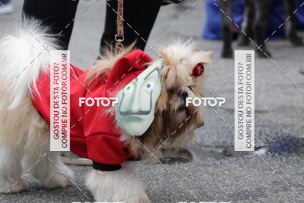 Buy your photos of the event13� C�ominhada - Santos on Fotop